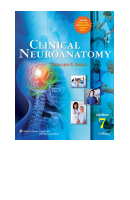 Snell_Clinical_Neuroanatomy (PDF) .pdf